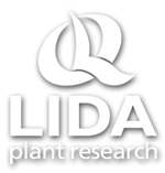 Lida Plant Reasearch